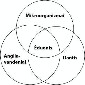 Dantų gydymas terapinis